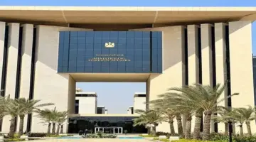 بدءاً من الغد.. تمديد إعفاء هواتف المصريين المقيمين بالخارج إلى 120 يوماً